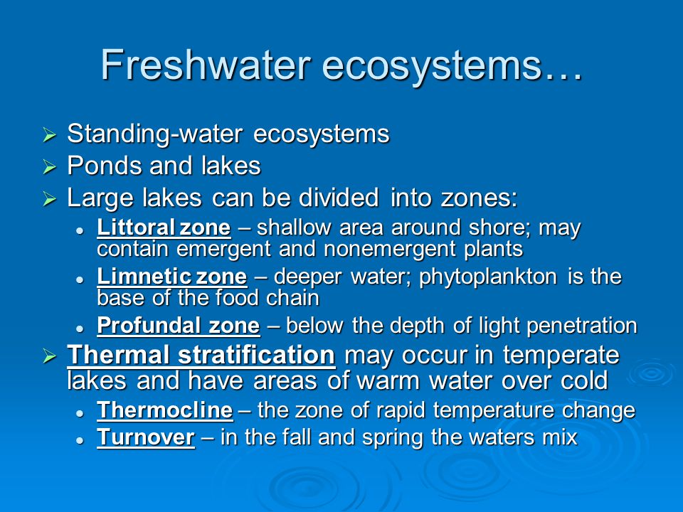 Freshwater ecosystems…  Standing-water ecosystems  Ponds and lakes  Large lakes can be divided into zones: Littoral zone – shallow area around shore; may contain emergent and nonemergent plants Littoral zone – shallow area around shore; may contain emergent and nonemergent plants Limnetic zone – deeper water; phytoplankton is the base of the food chain Limnetic zone – deeper water; phytoplankton is the base of the food chain Profundal zone – below the depth of light penetration Profundal zone – below the depth of light penetration  Thermal stratification may occur in temperate lakes and have areas of warm water over cold Thermocline – the zone of rapid temperature change Thermocline – the zone of rapid temperature change Turnover – in the fall and spring the waters mix Turnover – in the fall and spring the waters mix