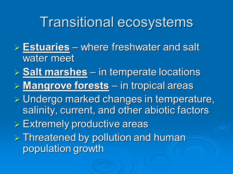 Transitional ecosystems  Estuaries – where freshwater and salt water meet  Salt marshes – in temperate locations  Mangrove forests – in tropical areas  Undergo marked changes in temperature, salinity, current, and other abiotic factors  Extremely productive areas  Threatened by pollution and human population growth