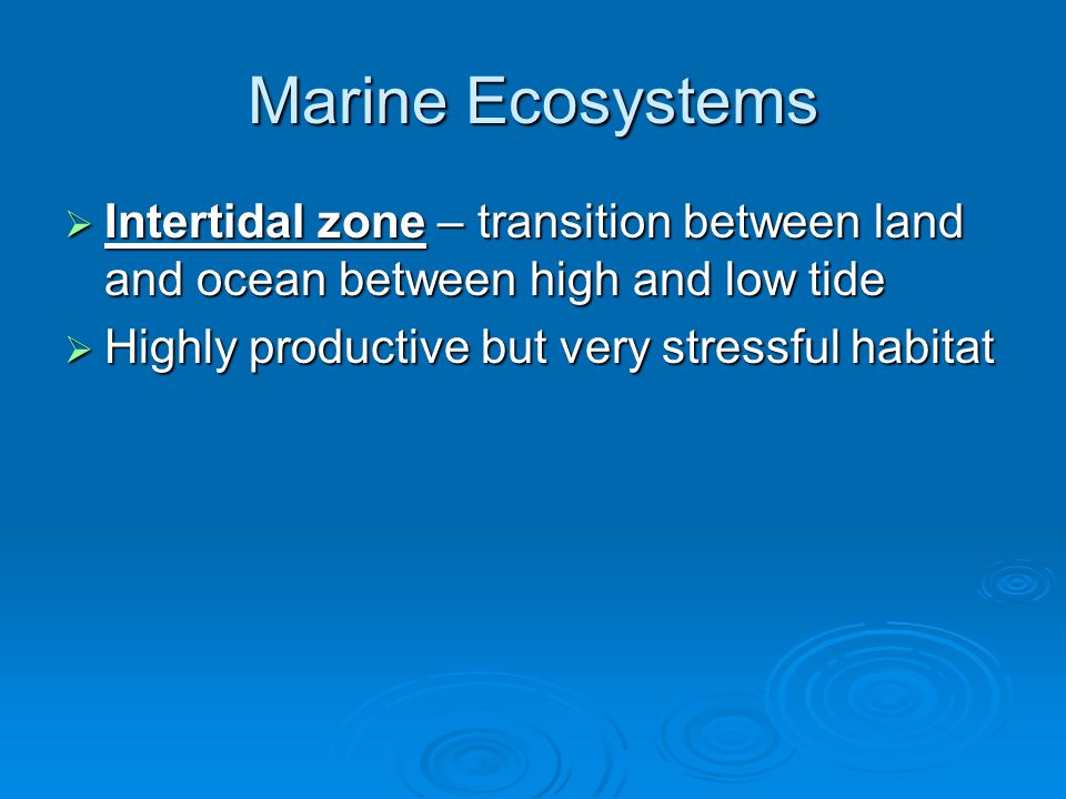 Marine Ecosystems  Intertidal zone – transition between land and ocean between high and low tide  Highly productive but very stressful habitat