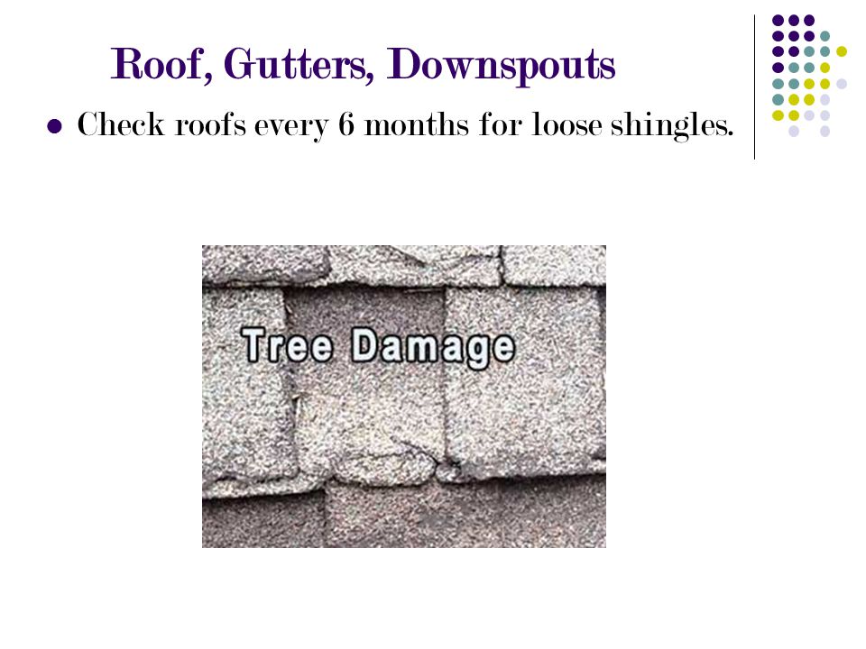 Roof, Gutters, Downspouts Check roofs every 6 months for loose shingles.