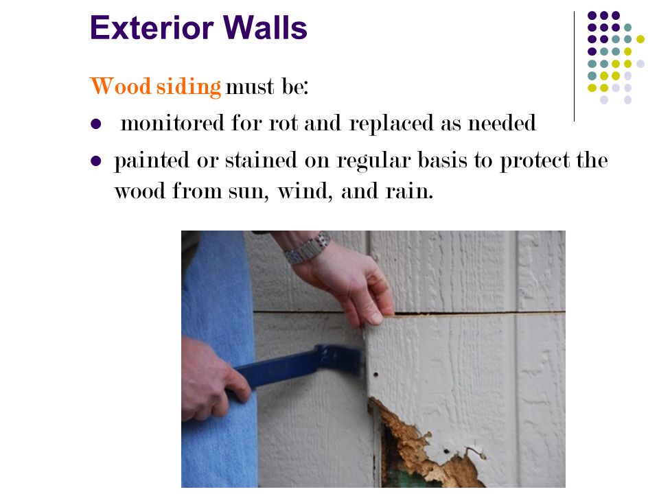 Exterior Walls Wood siding must be: monitored for rot and replaced as needed painted or stained on regular basis to protect the wood from sun, wind, and rain.