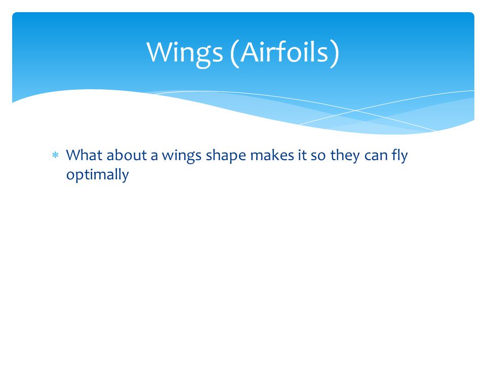  What about a wings shape makes it so they can fly optimally Wings (Airfoils)