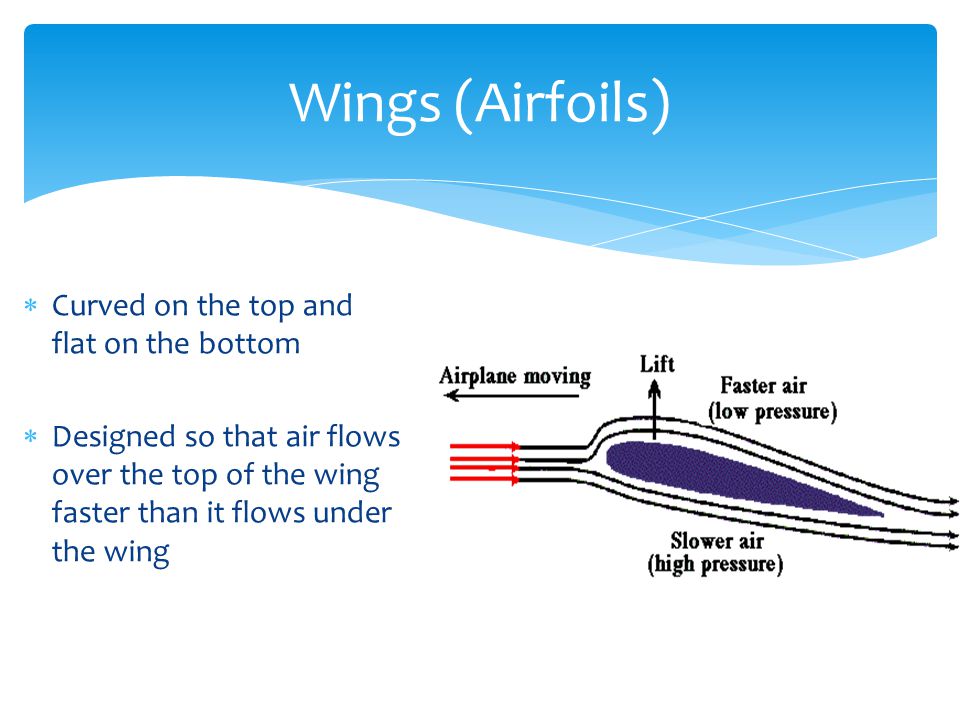  Curved on the top and flat on the bottom  Designed so that air flows over the top of the wing faster than it flows under the wing