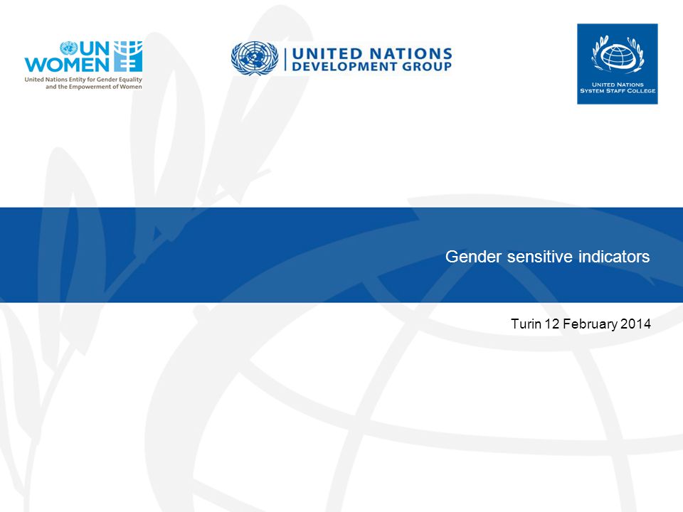 Gender sensitive indicators Turin 12 February 2014