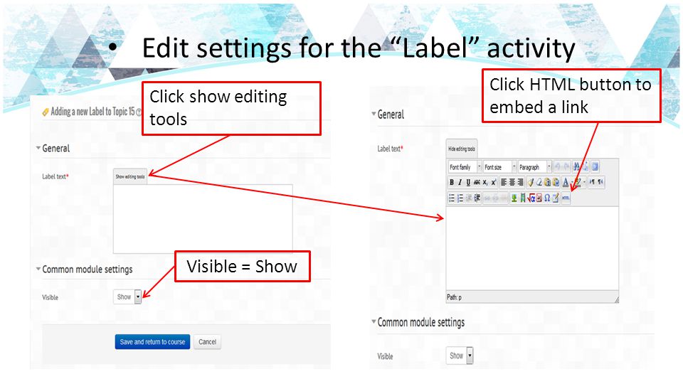 Edit settings for the Label activity Click show editing tools Visible = ShowClick HTML button to embed a link
