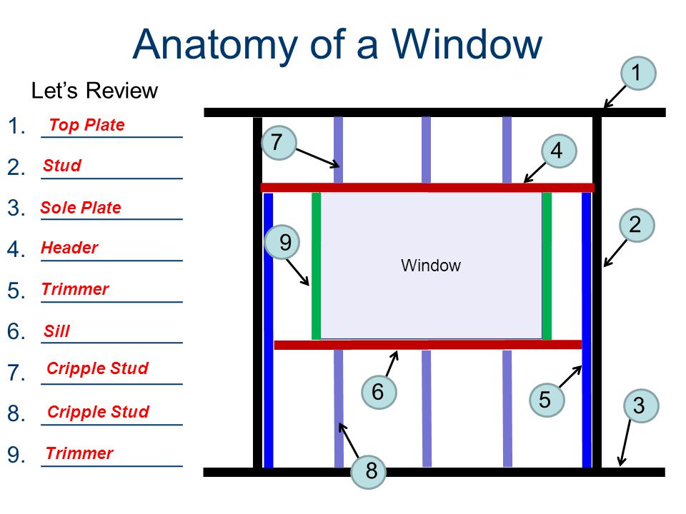 Anatomy of a Window Window 1.___________ 2.___________ 3.___________ 4.___________ 5.___________ 6.___________ 7.___________ 8.___________ 9.___________ Let’s Review Top Plate Stud Sole Plate Header Trimmer Sill Cripple Stud Trimmer