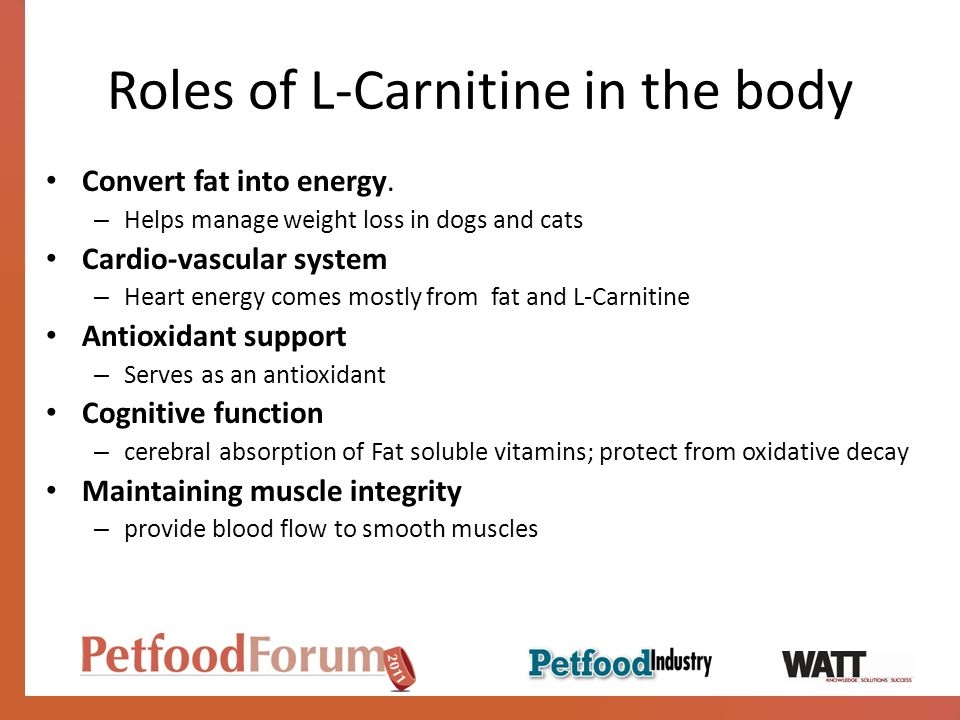 Roles of L-Carnitine in the body Convert fat into energy.