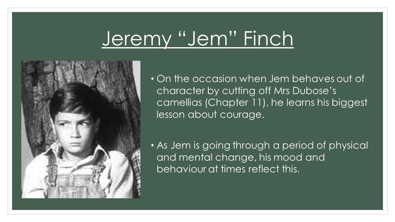 who is jem finch