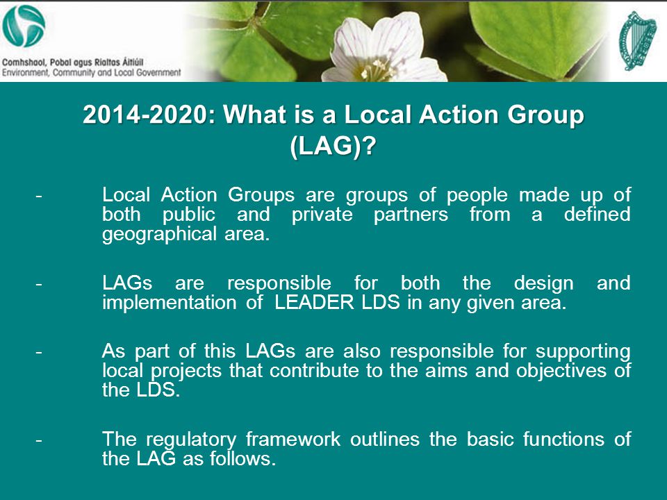 : What is a Local Action Group (LAG).