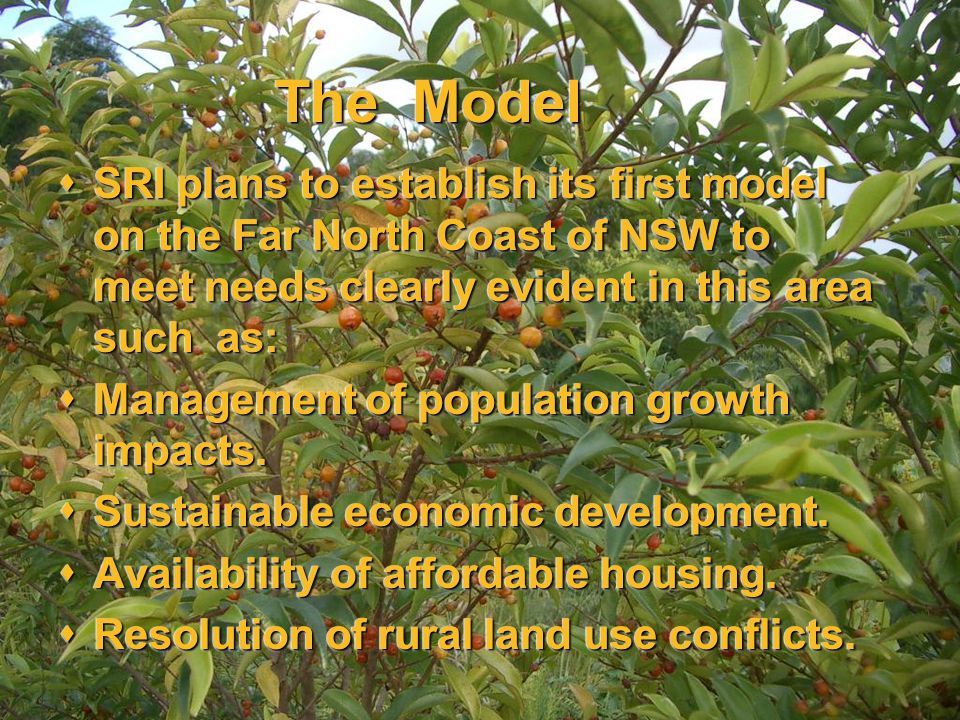 The Model  SRI plans to establish its first model on the Far North Coast of NSW to meet needs clearly evident in this area such as:  Management of population growth impacts.