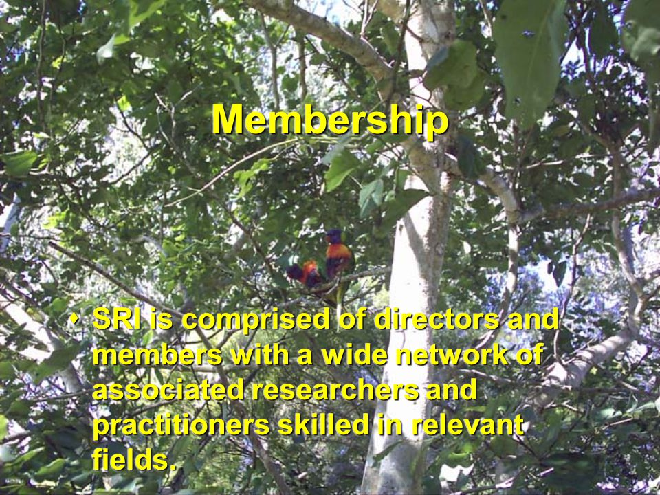 MembershipMembership  SRI is comprised of directors and members with a wide network of associated researchers and practitioners skilled in relevant fields.