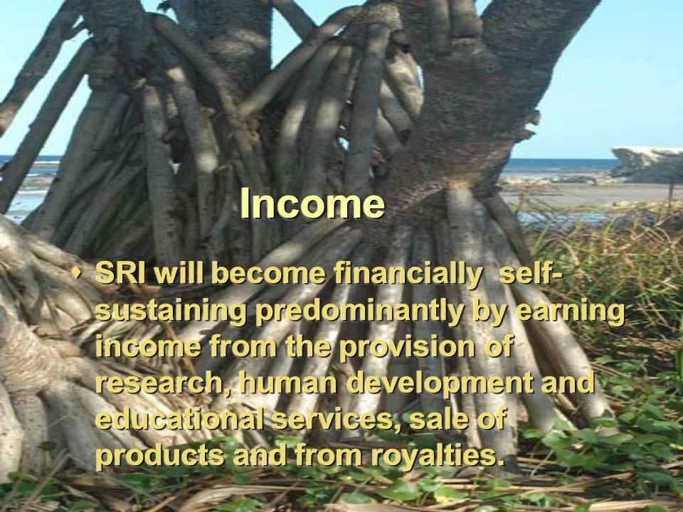 IncomeIncome  SRI will become financially self- sustaining predominantly by earning income from the provision of research, human development and educational services, sale of products and from royalties.