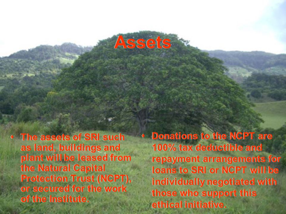 Assets  The assets of SRI such as land, buildings and plant will be leased from the Natural Capital Protection Trust (NCPT), or secured for the work of the Institute.