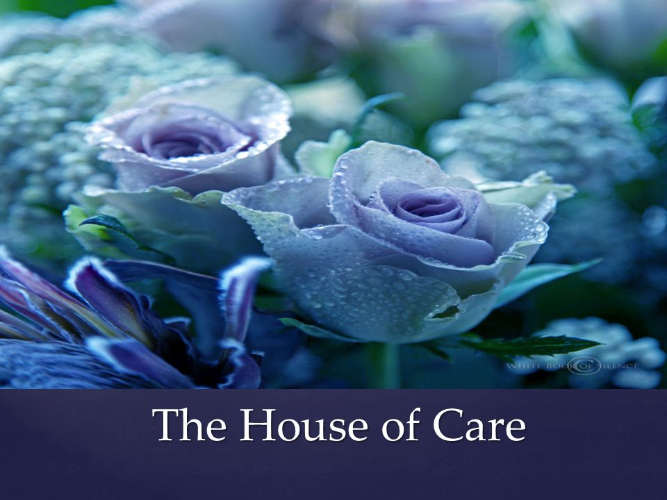 The House of Care