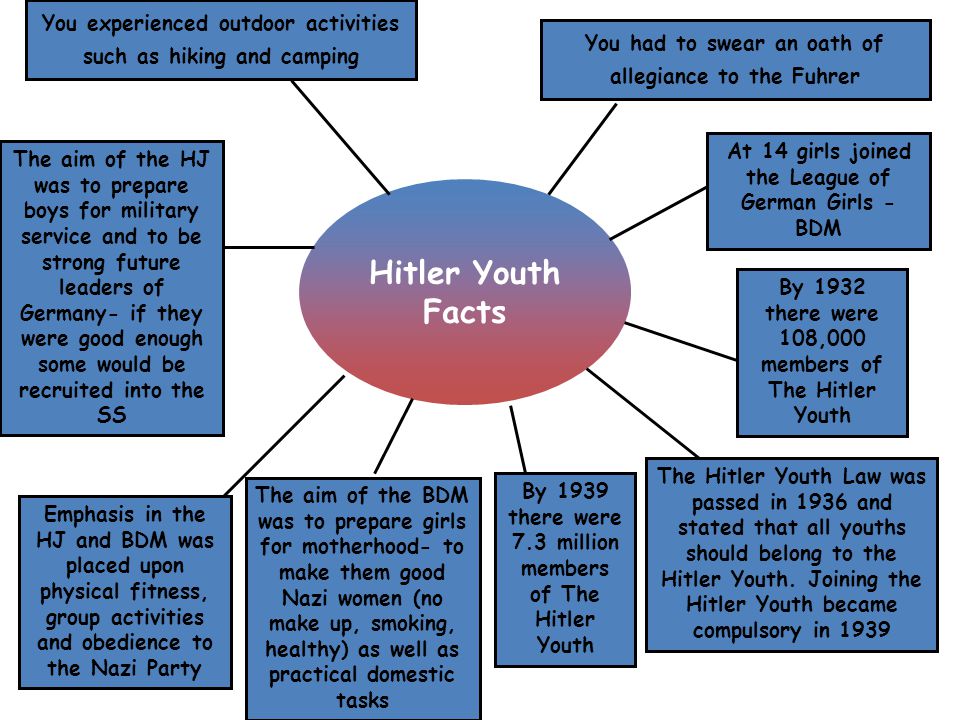 You had to swear an oath of allegiance to the Fuhrer Hitler Youth Facts You experienced outdoor activities such as hiking and camping By 1939 there were 7.3 million members of The Hitler Youth The Hitler Youth Law was passed in 1936 and stated that all youths should belong to the Hitler Youth.
