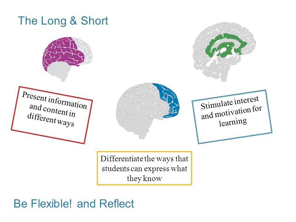 The Long & Short Present information and content in different ways Differentiate the ways that students can express what they know Stimulate interest and motivation for learning Be Flexible.