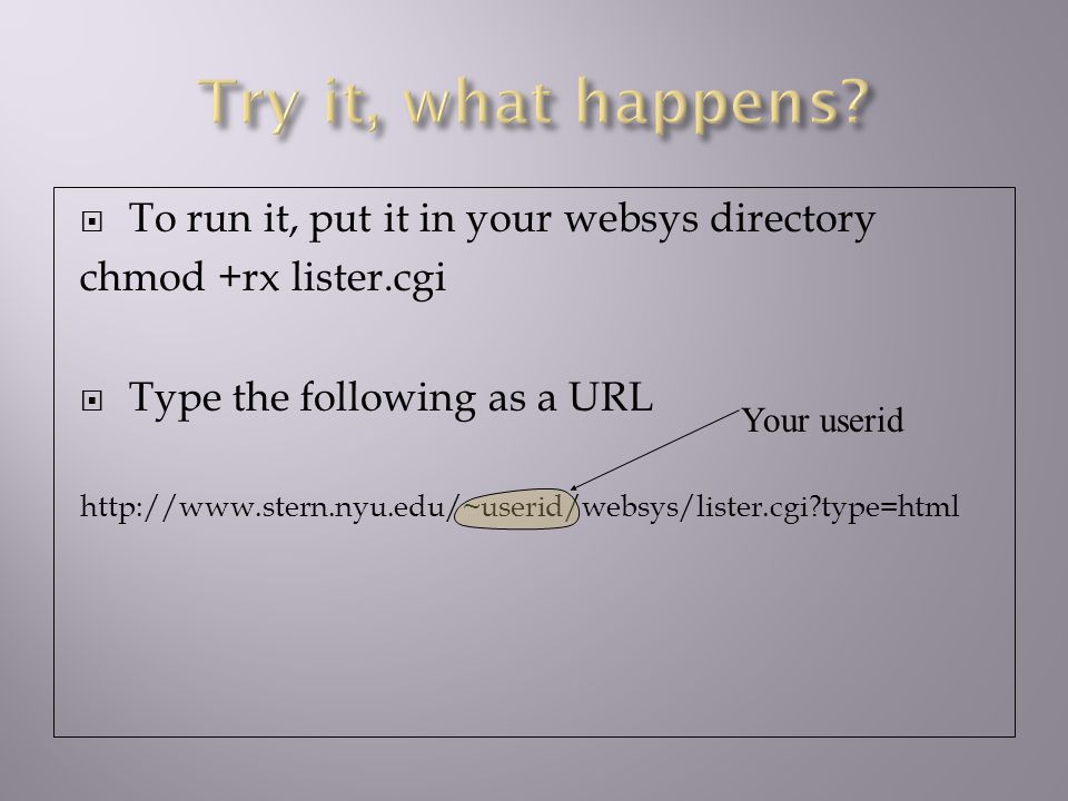  List the contents of your websys directory  With options passed as part of url (type=XXX)  Create a Shell Script named lister.cgi which contains #.