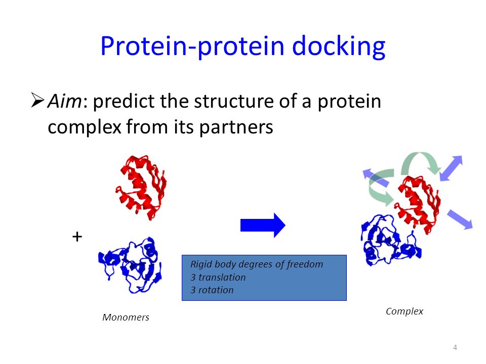 molecular docking ppt