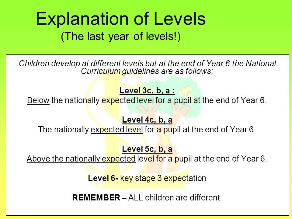 Explanation of Levels (The last year of levels!) Children develop at different levels but at the end of Year 6 the National Curriculum guidelines are as follows; Level 3c, b, a : Below the nationally expected level for a pupil at the end of Year 6.