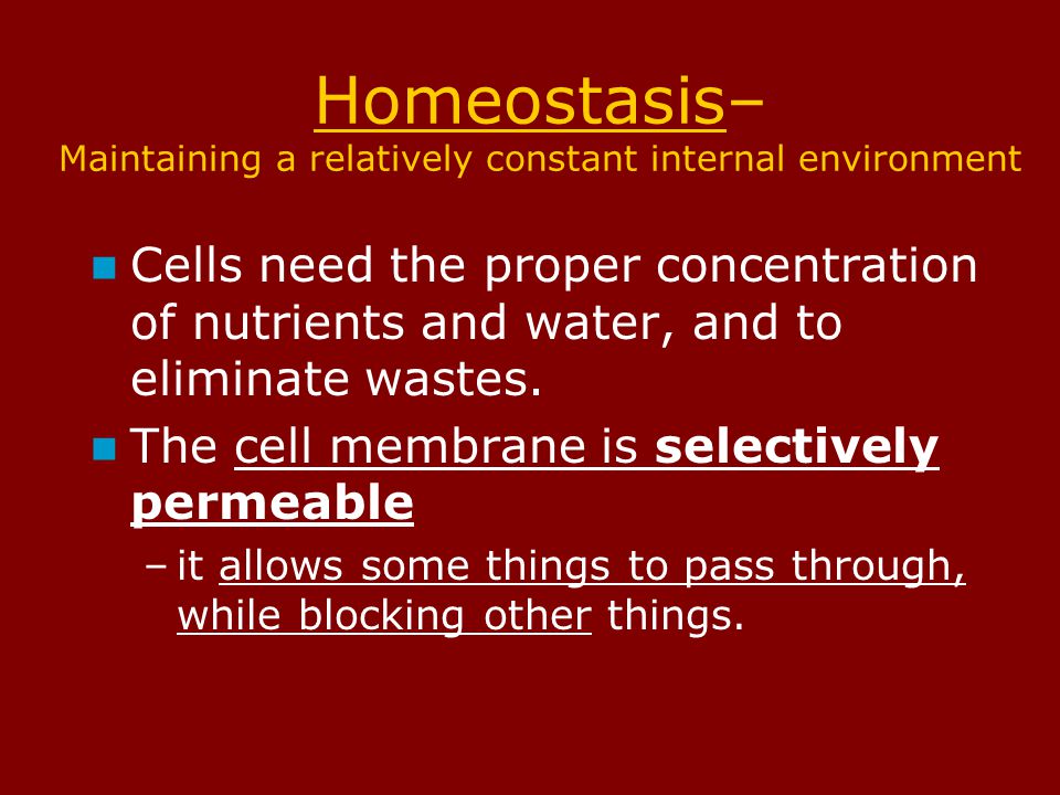 Agenda 10/27 Cell Membrane and Homeostasis 2.1 Relate cell parts/organelles (plasma membrane ) to their functions.