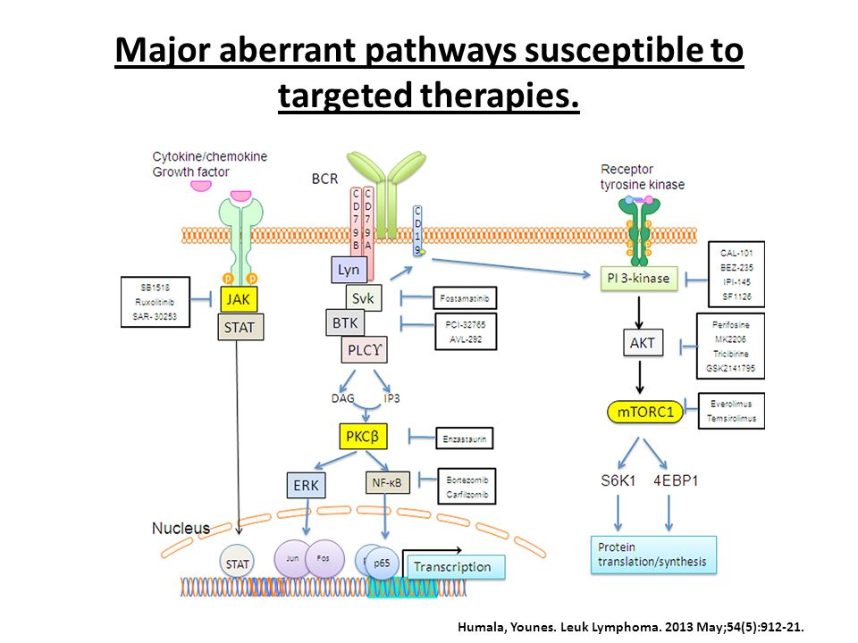 Major aberrant pathways susceptible to targeted therapies.