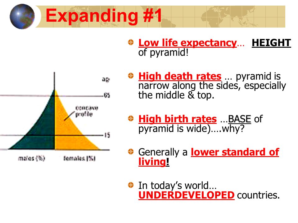 Population Pyramids Ch 19 P Define Population Pyramid P Graphs That Show The Structure Of A Population By Age Gender Ppt Download