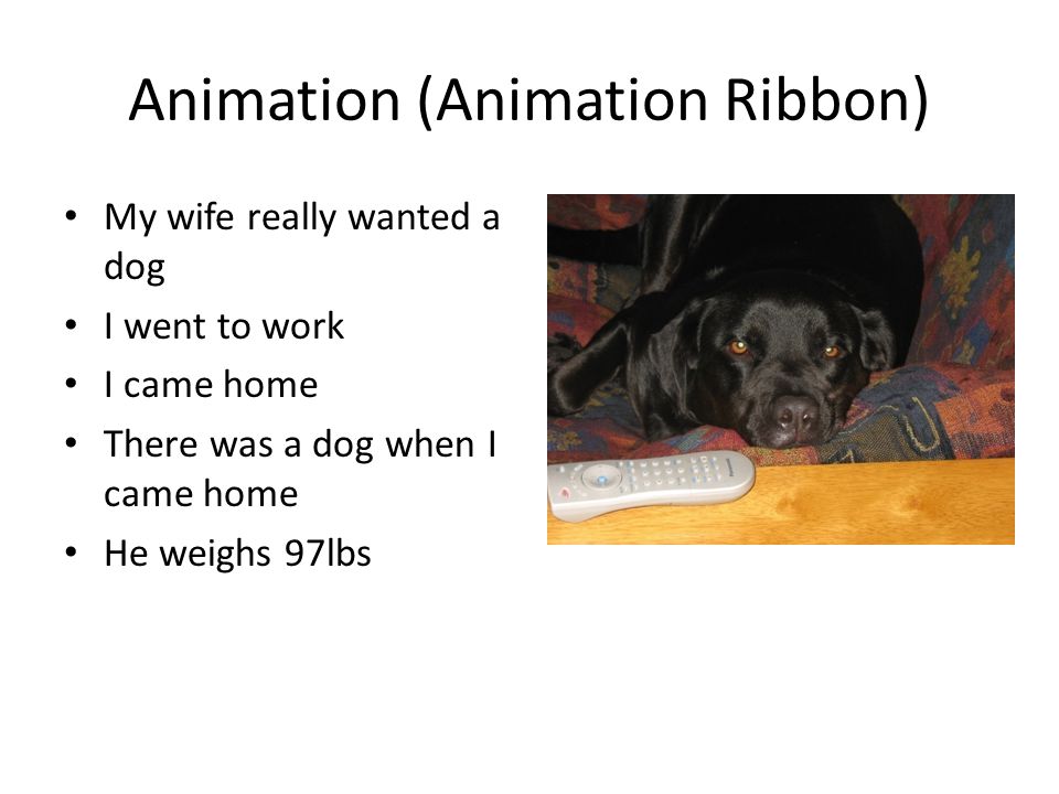 Animation (Animation Ribbon) My wife really wanted a dog I went to work I came home There was a dog when I came home He weighs 97lbs