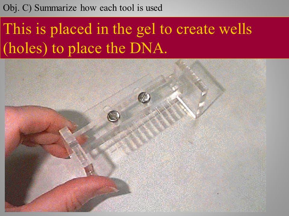 This is placed in the gel to create wells (holes) to place the DNA.