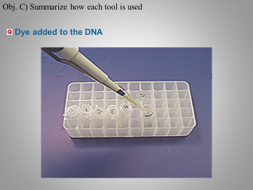 Dye added to the DNA Obj. C) Summarize how each tool is used