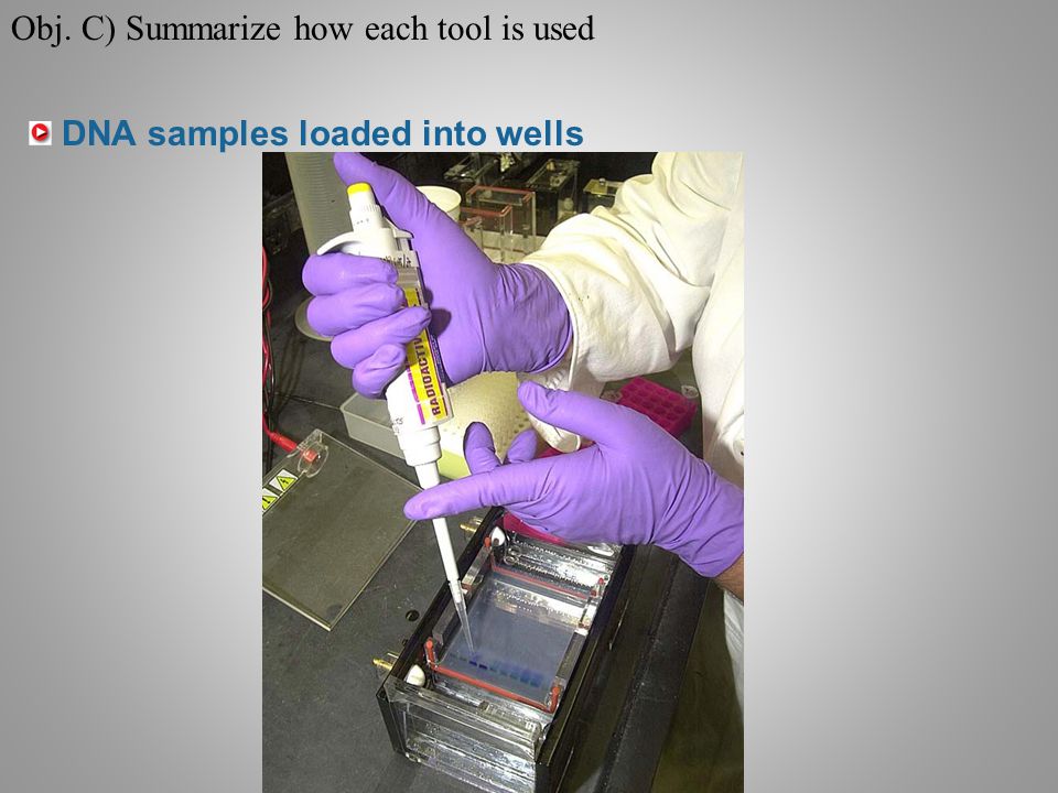 DNA samples loaded into wells Obj. C) Summarize how each tool is used