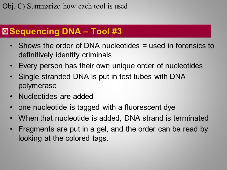 Sequencing DNA – Tool #3 Shows the order of DNA nucleotides = used in forensics to definitively identify criminals Every person has their own unique order of nucleotides Single stranded DNA is put in test tubes with DNA polymerase Nucleotides are added one nucleotide is tagged with a fluorescent dye When that nucleotide is added, DNA strand is terminated Fragments are put in a gel, and the order can be read by looking at the colored tags.