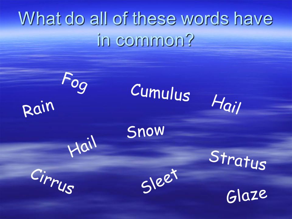 What do all of these words have in common.