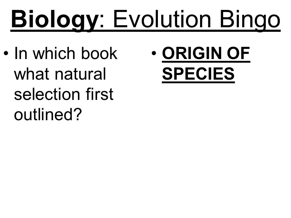 biology evolution bingo what
