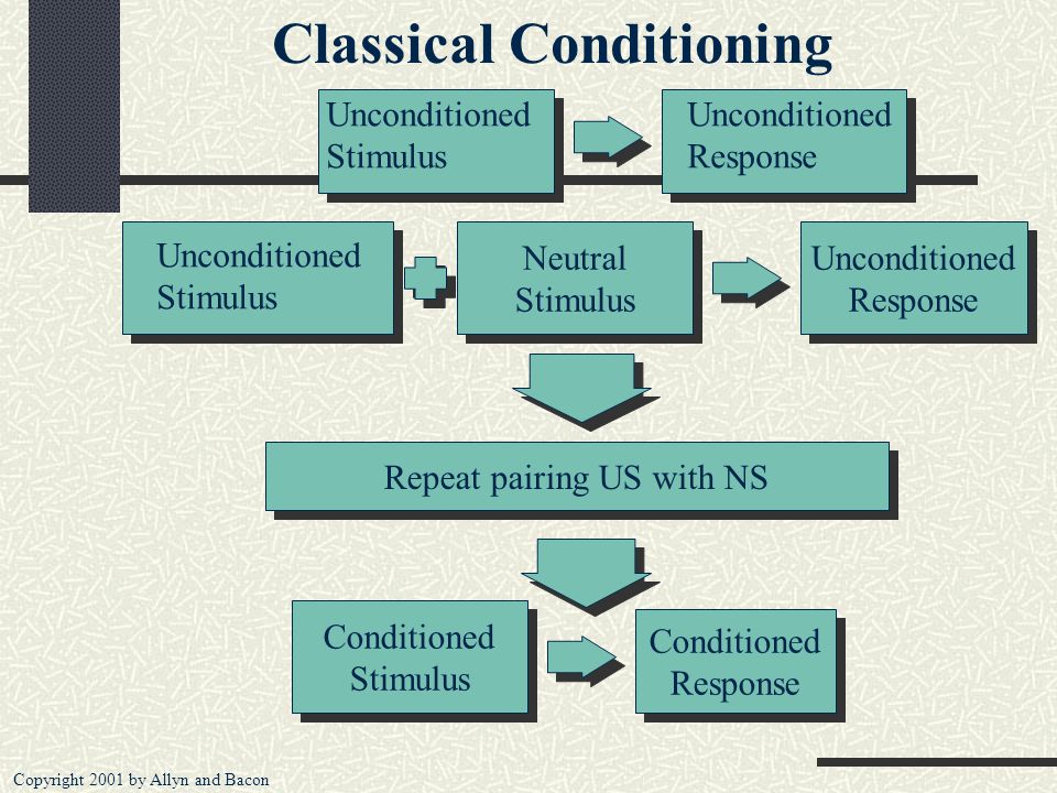 Classical Conditioning Flow Chart