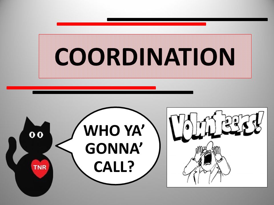 COORDINATION WHO YA’ GONNA’ CALL