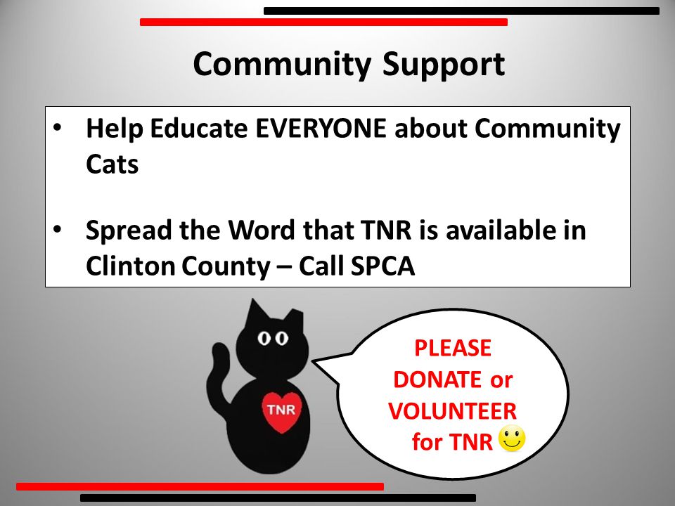 Help Educate EVERYONE about Community Cats Spread the Word that TNR is available in Clinton County – Call SPCA Community Support PLEASE DONATE or VOLUNTEER for TNR