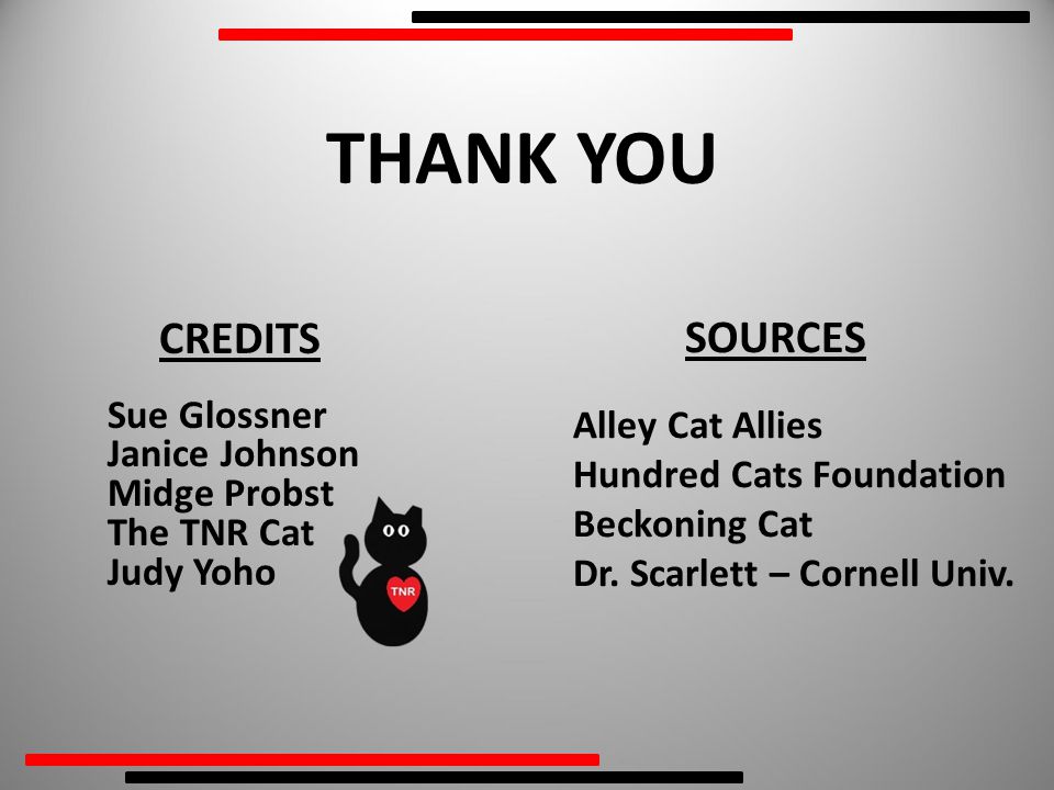 CREDITS Sue Glossner Janice Johnson Midge Probst The TNR Cat Judy Yoho THANK YOU SOURCES Alley Cat Allies Hundred Cats Foundation Beckoning Cat Dr.