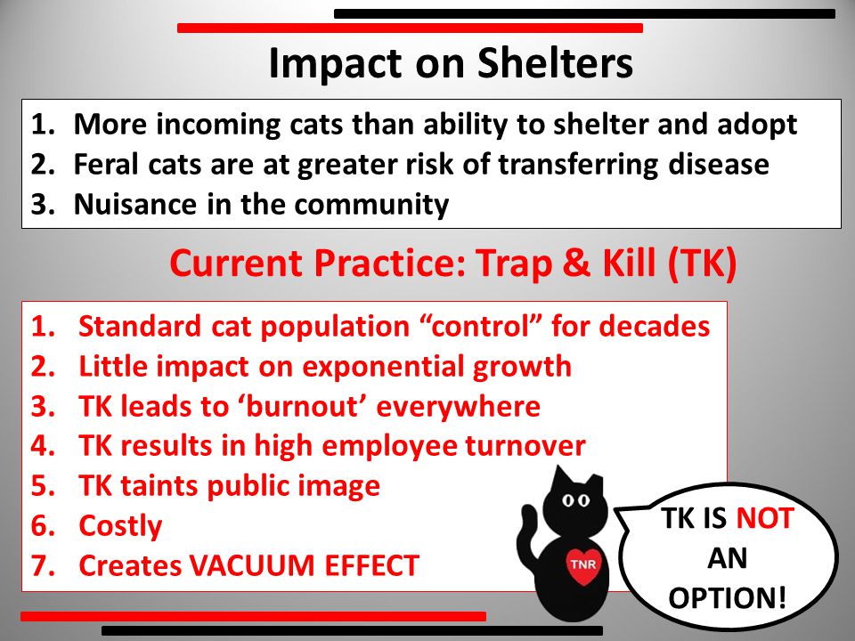 1.More incoming cats than ability to shelter and adopt 2.Feral cats are at greater risk of transferring disease 3.Nuisance in the community Impact on Shelters 1.Standard cat population control for decades 2.Little impact on exponential growth 3.TK leads to ‘burnout’ everywhere 4.TK results in high employee turnover 5.TK taints public image 6.Costly 7.Creates VACUUM EFFECT Current Practice: Trap & Kill (TK) TK IS NOT AN OPTION!