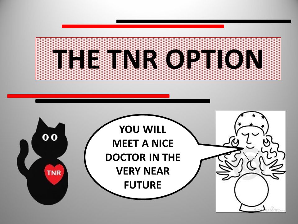 THE TNR OPTION YOU WILL MEET A NICE DOCTOR IN THE VERY NEAR FUTURE