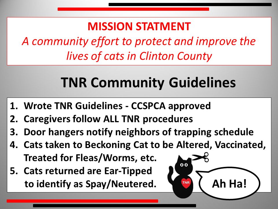 1.Wrote TNR Guidelines - CCSPCA approved 2.Caregivers follow ALL TNR procedures 3.Door hangers notify neighbors of trapping schedule 4.Cats taken to Beckoning Cat to be Altered, Vaccinated, Treated for Fleas/Worms, etc.