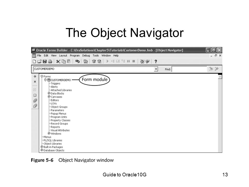 Guide to Oracle10G13 The Object Navigator