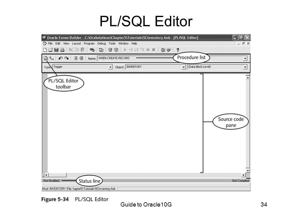 Guide to Oracle10G34 PL/SQL Editor