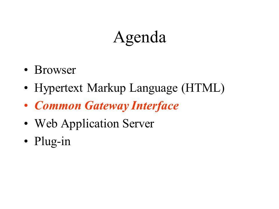 Agenda Browser Hypertext Markup Language (HTML) Common Gateway Interface Web Application Server Plug-in