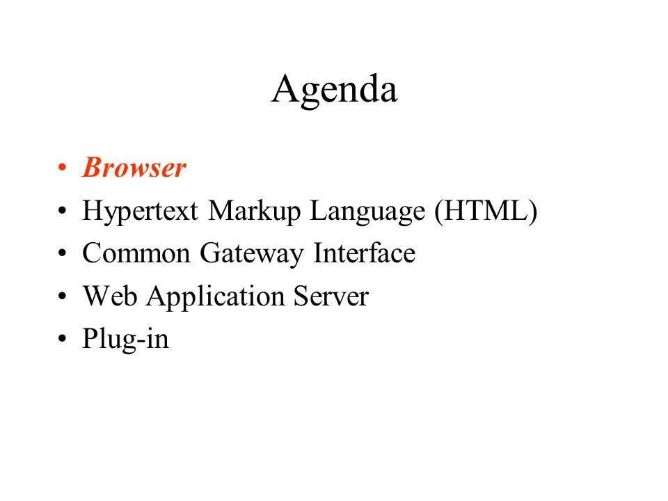 Agenda Browser Hypertext Markup Language (HTML) Common Gateway Interface Web Application Server Plug-in