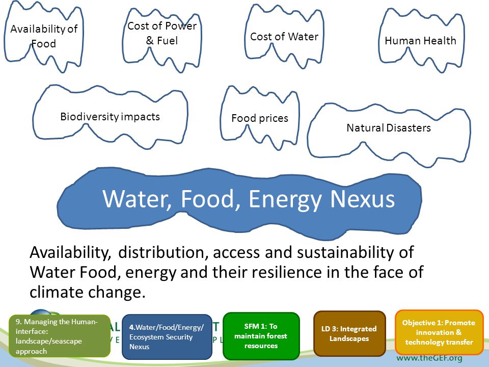 Water, Food, Energy Nexus Availability, distribution, access and sustainability of Water Food, energy and their resilience in the face of climate change.