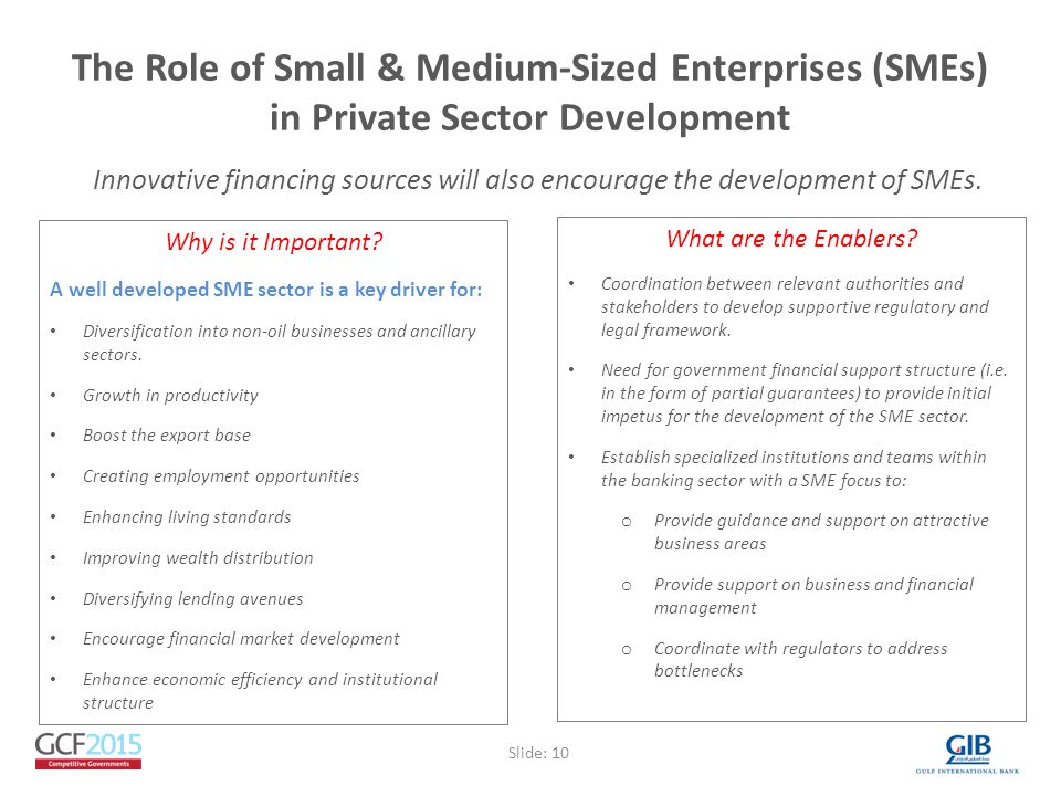 The Role of Small & Medium-Sized Enterprises (SMEs) in Private Sector Development Why is it Important.