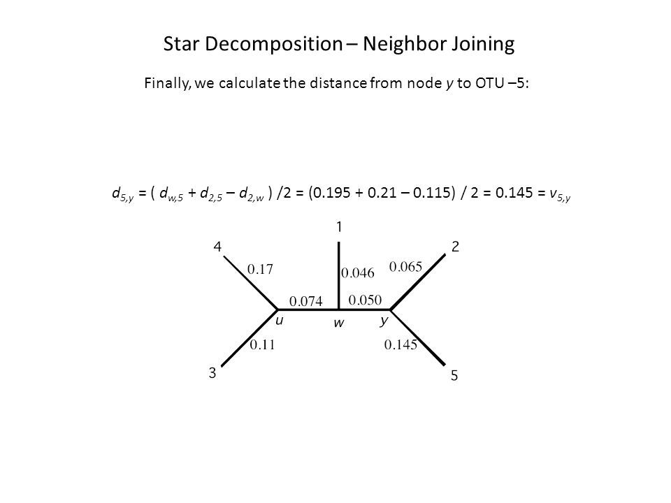 Star Decomposition – Neighbor Joining d 5,y = ( d w,5 + d 2,5 – d 2,w ) /2 = ( – 0.115) / 2 = = v 5,y Finally, we calculate the distance from node y to OTU –5: