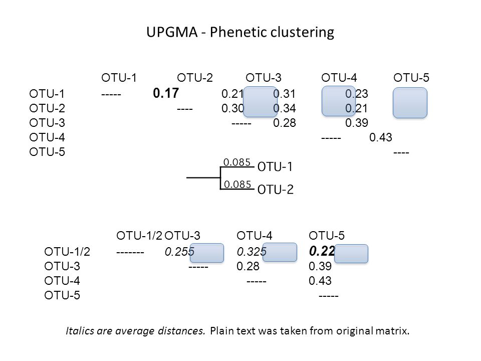UPGMA - Phenetic clustering OTU-1 OTU-2OTU-3 OTU-4 OTU-5 OTU OTU OTU OTU OTU OTU-1/2OTU-3OTU-4OTU-5 OTU-1/ OTU OTU OTU Italics are average distances.Plain text was taken from original matrix.