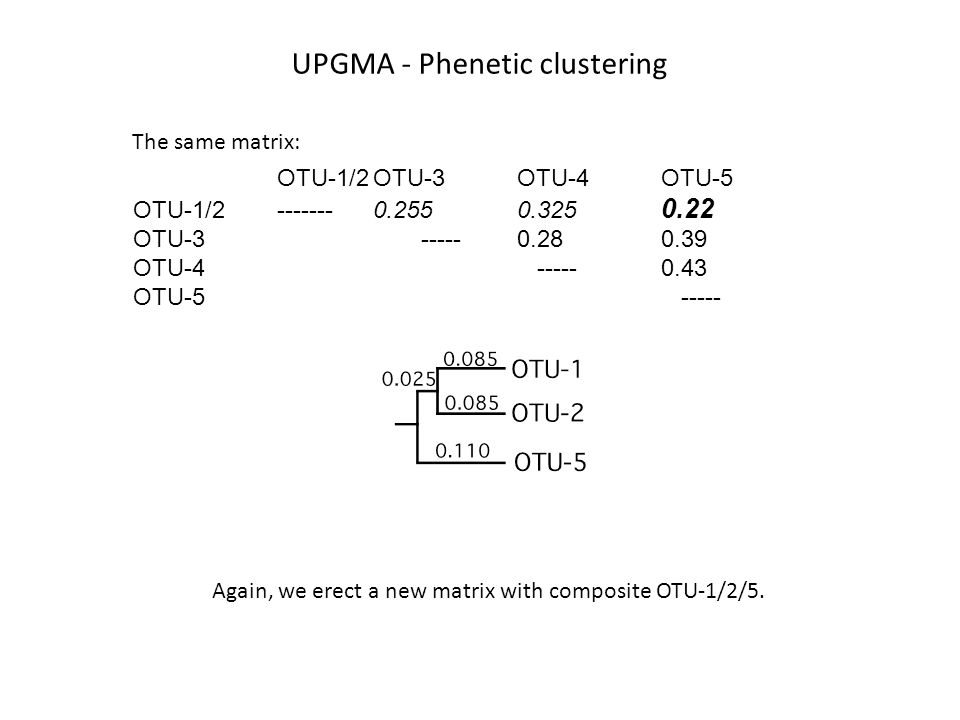 UPGMA - Phenetic clustering OTU-1/2OTU-3OTU-4OTU-5 OTU-1/ OTU OTU OTU Again, we erect a new matrix with composite OTU-1/2/5.