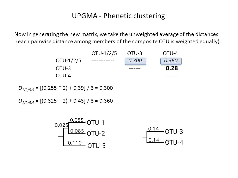UPGMA - Phenetic clustering Now in generating the new matrix, we take the unweighted average of the distances (each pairwise distance among members of the composite OTU is weighted equally).